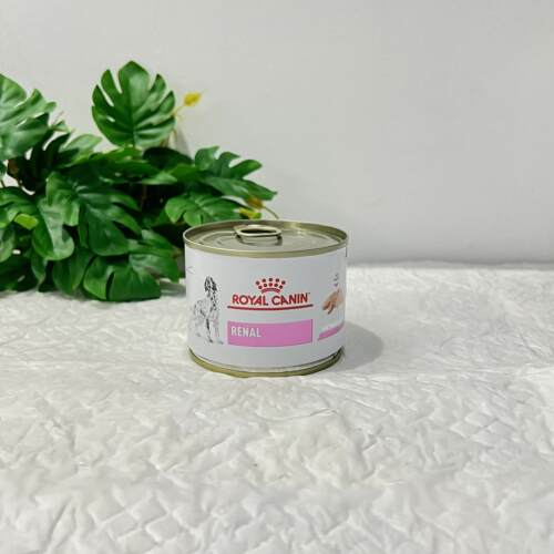 犬肾脏处方湿粮罐头皇家进口
