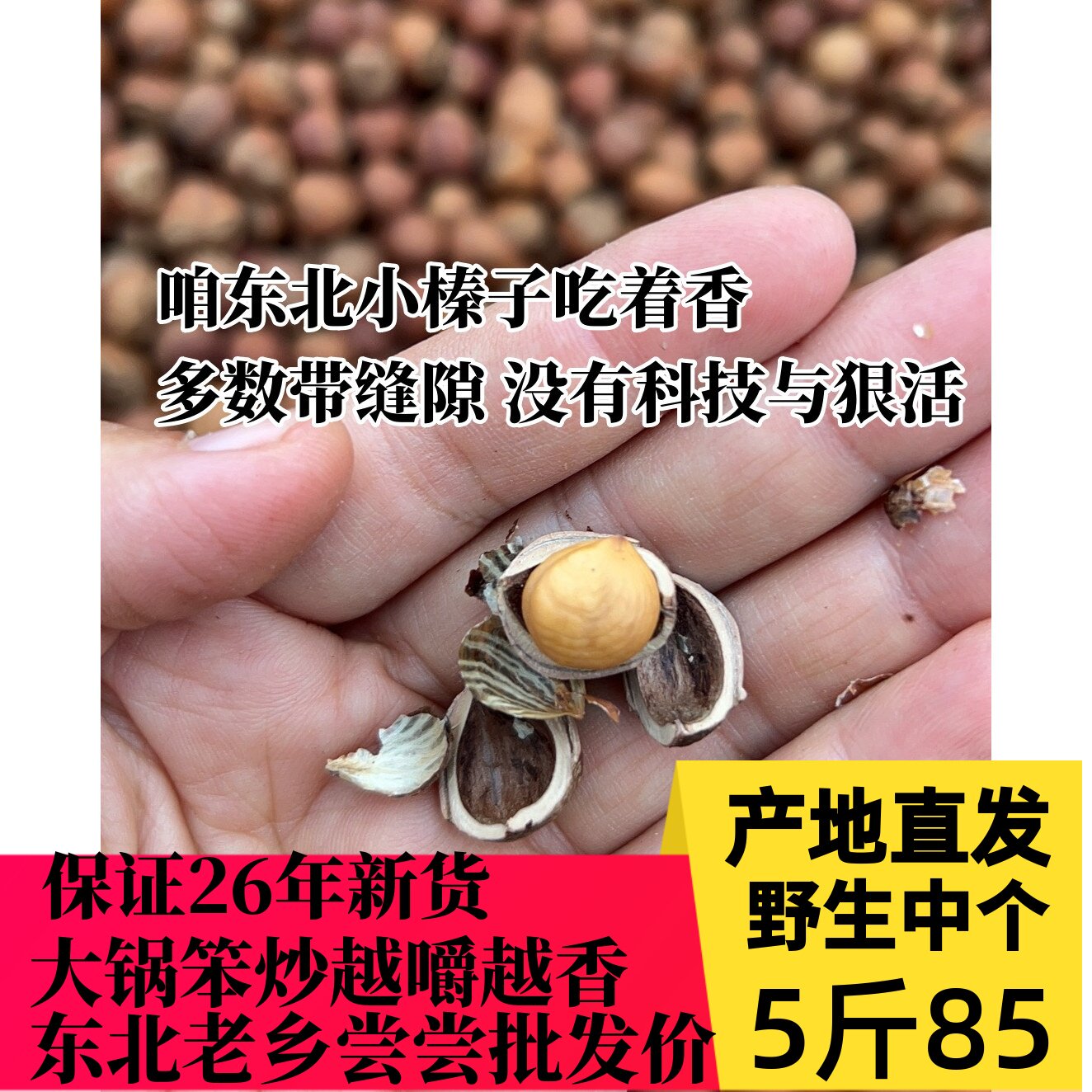 26年新货东北特产铁岭开原野生山榛子无添加山货薄皮塔沟榛子中个