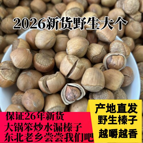 26年新货开原野生山榛子大个