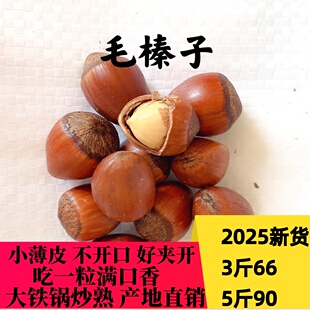 25年新鲜榛子东北特产铁岭开原大个玉坠毛榛子薄皮铁锅炒熟不开口