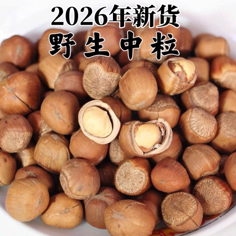 2026年新鲜榛子东北特产铁岭开原野生手拍山榛子大锅炒熟部分开口