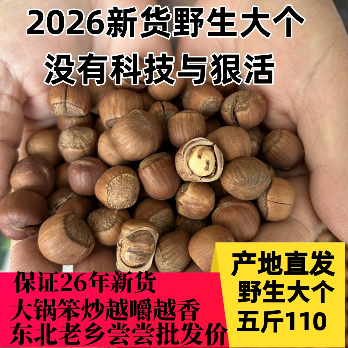 26年新货野生新鲜山榛子东北特产铁岭开原原味无添加薄皮野生大个
