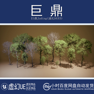 Beech 虚幻UE5.1 Foliage VOL.45 森林树木植物山毛榉模型 Trees