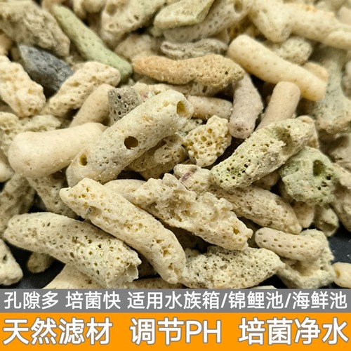 珊瑚骨滤材纯天然无漂白珊瑚石锦鲤池滤材海鲜鱼缸过滤滤材珊瑚砂
