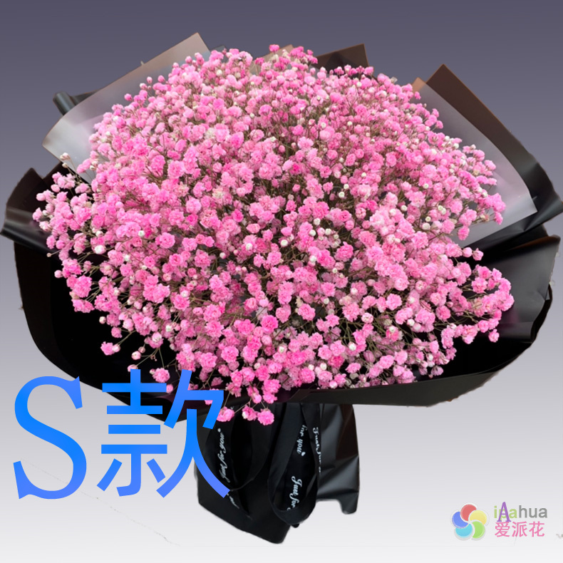 生日求婚百合广西防城港花店送花防城区上思县东兴市同城鲜花速递 鲜花速递/花卉仿真/绿植园艺 鲜花速递(同城) 原图主图