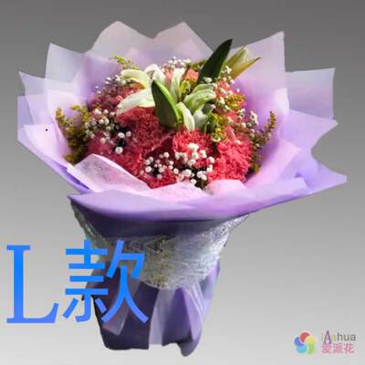 生日探望康乃馨广西贺州花店送花昭平县钟山县富川县同城鲜花快递