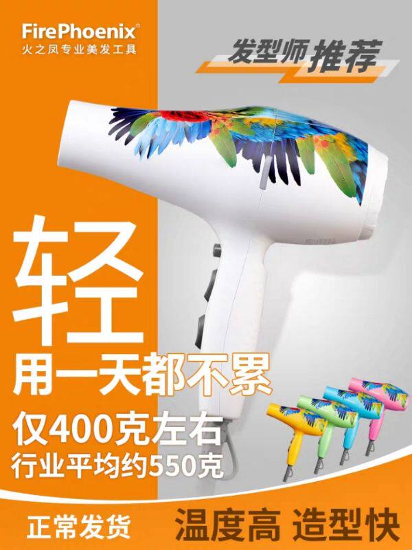 火之凤5600A吹风机大功率学生宿舍发廊家用冷热风负离子恒温包邮