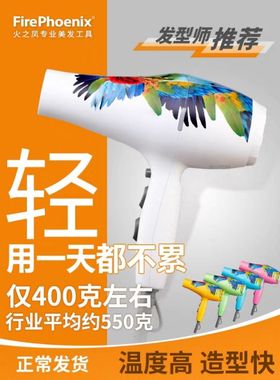 火之凤5600A吹风机大功率学生宿舍发廊家用冷热风负离子恒温包邮
