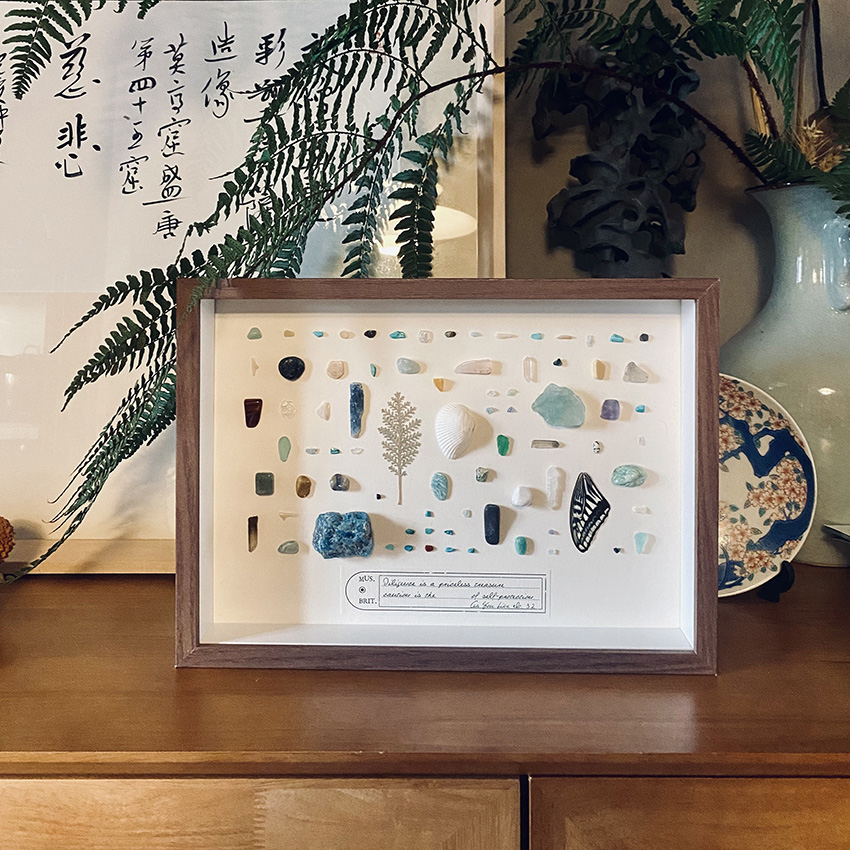 蝴蝶干花植物标本相框diy手作装饰画复古轻奢墙饰组合日系图片