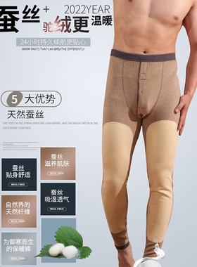 美仪450克61705蚕丝驼绒保暖裤男打底裤大贴片单层中厚内衣秋裤