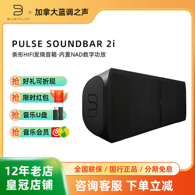 BLUESOUND SOUNDBAR 2i条形HIFI发烧音箱 家用客厅蓝牙无线音响