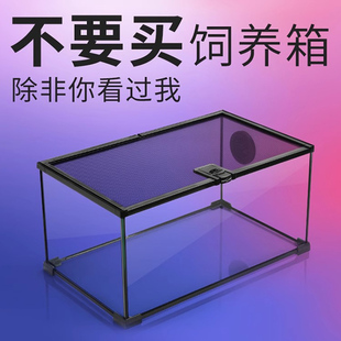 新派Reptizoo爬宠角蛙饲养箱鬃狮蜥蜴蜘蛛守宫爬虫玻璃缸雨林缸蛇