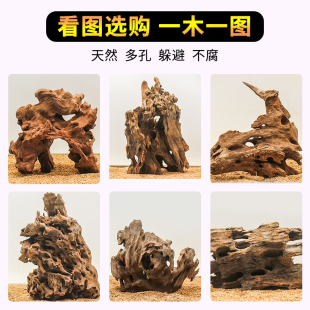 虾木沉木天然多孔蜂窝木头鱼缸造景鱼虾天然躲避屋生态水草装 饰品