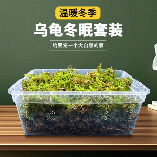 乌龟冬眠箱巴西龟过冬椰土苔藓草