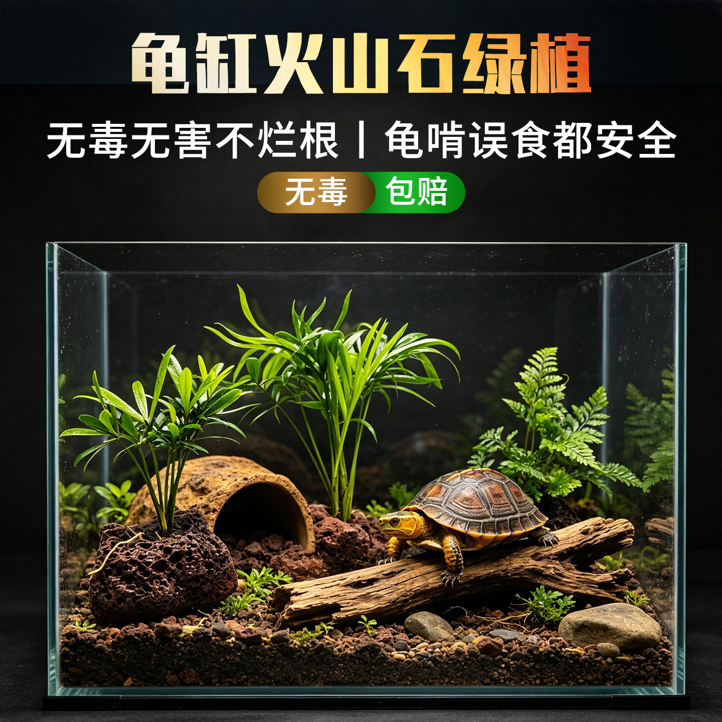 乌龟缸净水水草袖珍椰子菖蒲火山石挺水植物黄缘龟饲养箱造景绿植图片