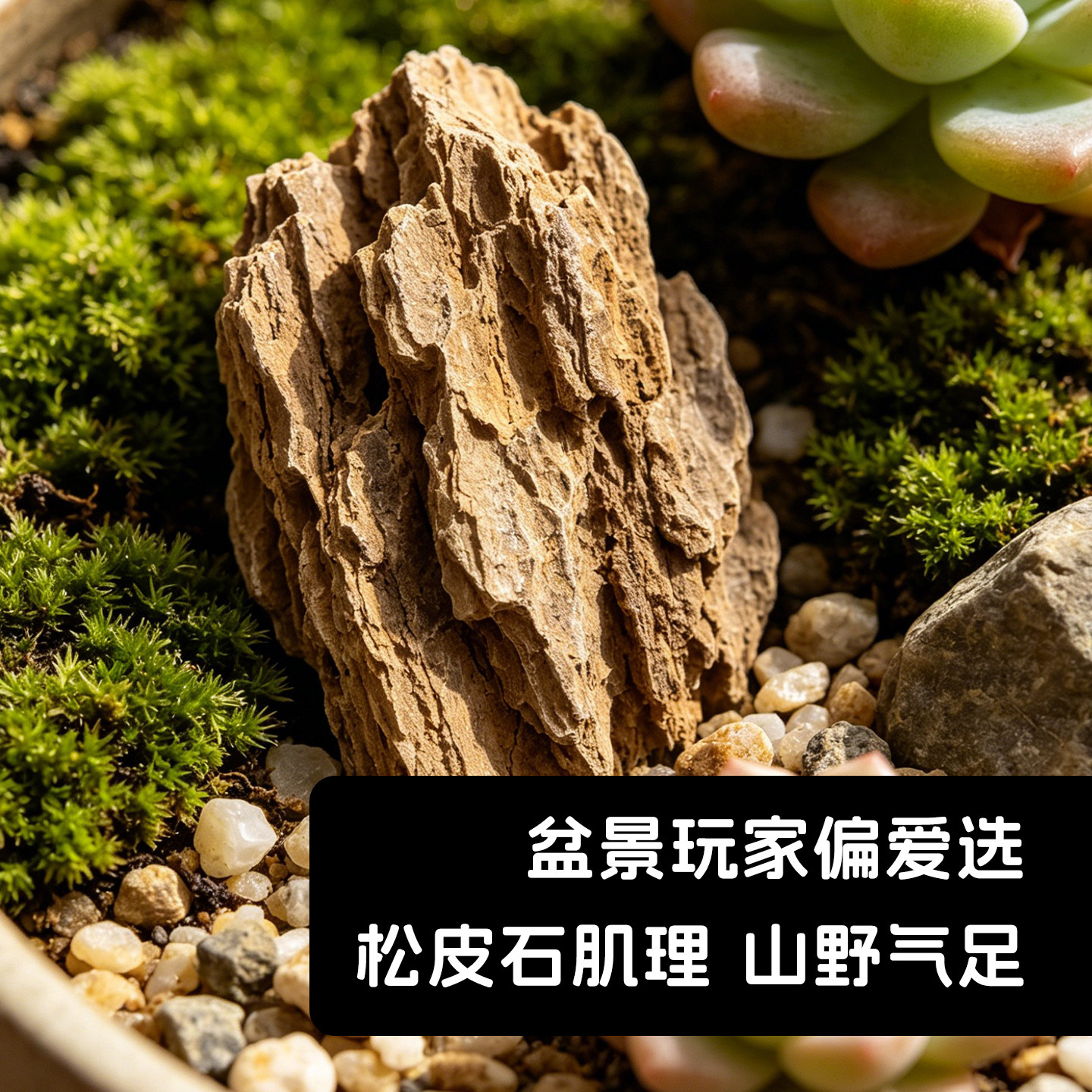 小块天然松皮石园艺盆景造景石苔藓铺面假山堆叠观赏石山水布景石