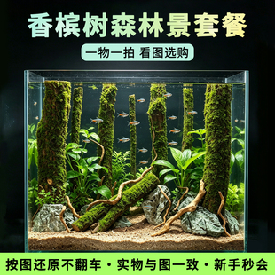 沉木森林景造景骨架香槟木树干生态鱼缸原生南美水草装饰树桩套餐