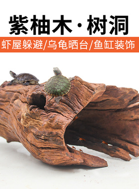 南美缸沉木紫柚木树桩树洞精品大号天然乌龟晒台爬宠造景躲避洞屋