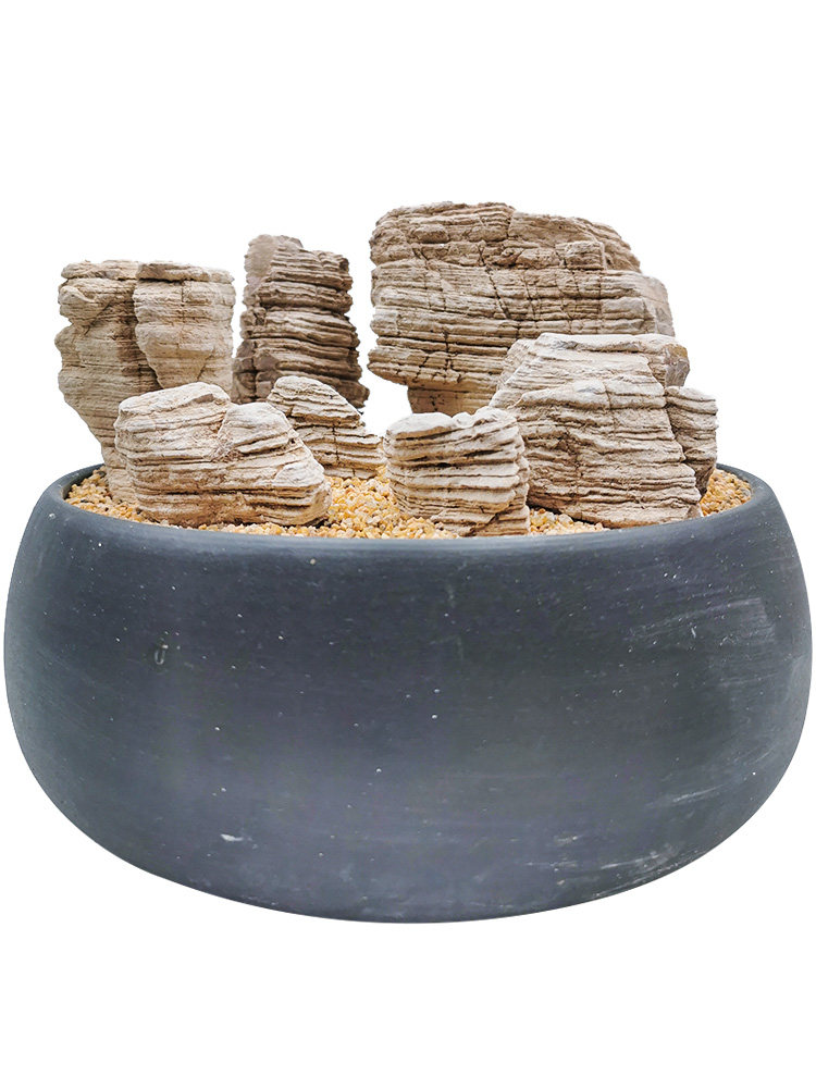 千层石组合细纹多层原石鱼缸天然造景假山石头微景观盆景摆件小块