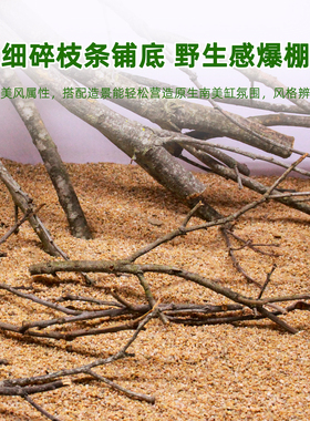 黄梨枝细枝南美缸造景沉木枝条生态鱼缸造景底床装饰材料天然树枝