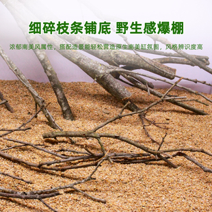 黄梨枝细枝南美缸造景沉木枝条生态鱼缸造景底床装饰材料天然树枝