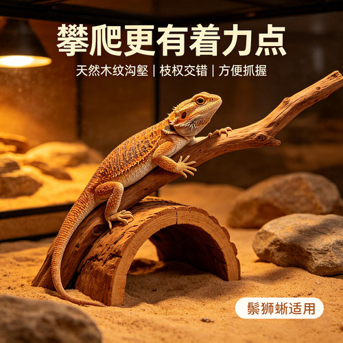 雨林异宠造景枯木沉木多品种爬虫躲避栖木天然沉木饲养缸景观摆件
