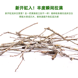 鱼缸造景黄梨枝沉木南美缸装饰鹿角枝黄梨木树枝枯木水族生态造景