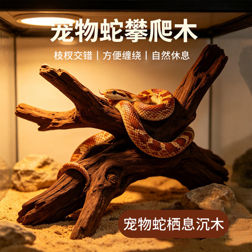 宠物蛇攀爬沉木树栖蛇缠绕栖息枝木爬宠箱原生天然造景枯木素材