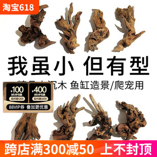 饰爬宠攀爬木 鱼缸造景小型沉木可绑水草天然珊瑚木莫斯树小树桩装