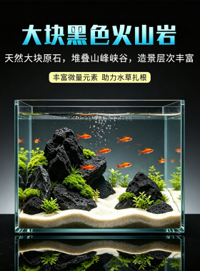 鱼缸造景石黑色火山石大块天然熔岩石草缸造景山水石过滤铺底石材