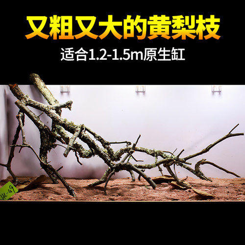 大鱼缸造景黄梨枝沉木倒挂枯木