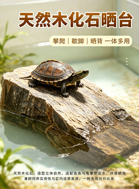 乌龟晒台石料天然木化石深水龟晒背爬台硅化木原石鱼缸造景石头
