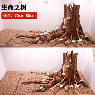 鱼缸造景生命之树沉木骨架树桩树干原木树根水族箱装饰品树头木头
