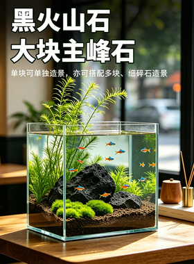 水族专用黑色火山石大块天然火山岩草缸鱼缸造景石乌龟缸晒台石头