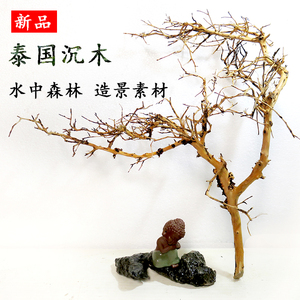 新品泰国枝沉木鱼缸莫斯树形沉木水族箱装饰草缸天然造景树杜鹃根