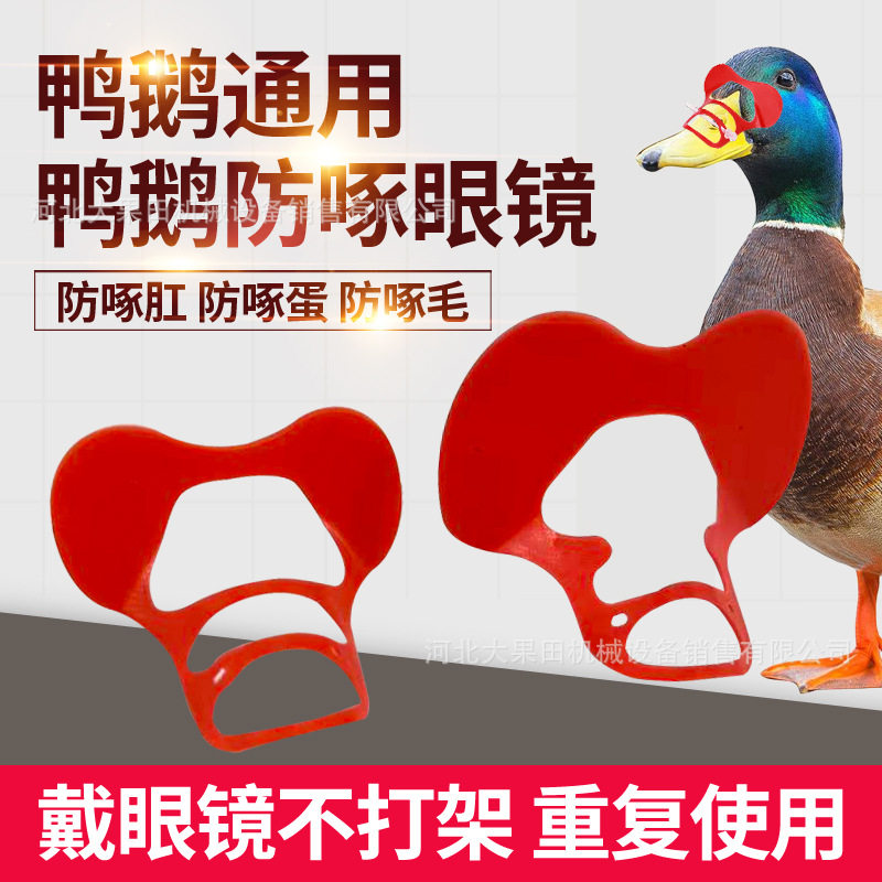 放啄鸭眼镜防啄型鸭鹅眼镜防打架防啄毛防啄肛佩戴简单方便