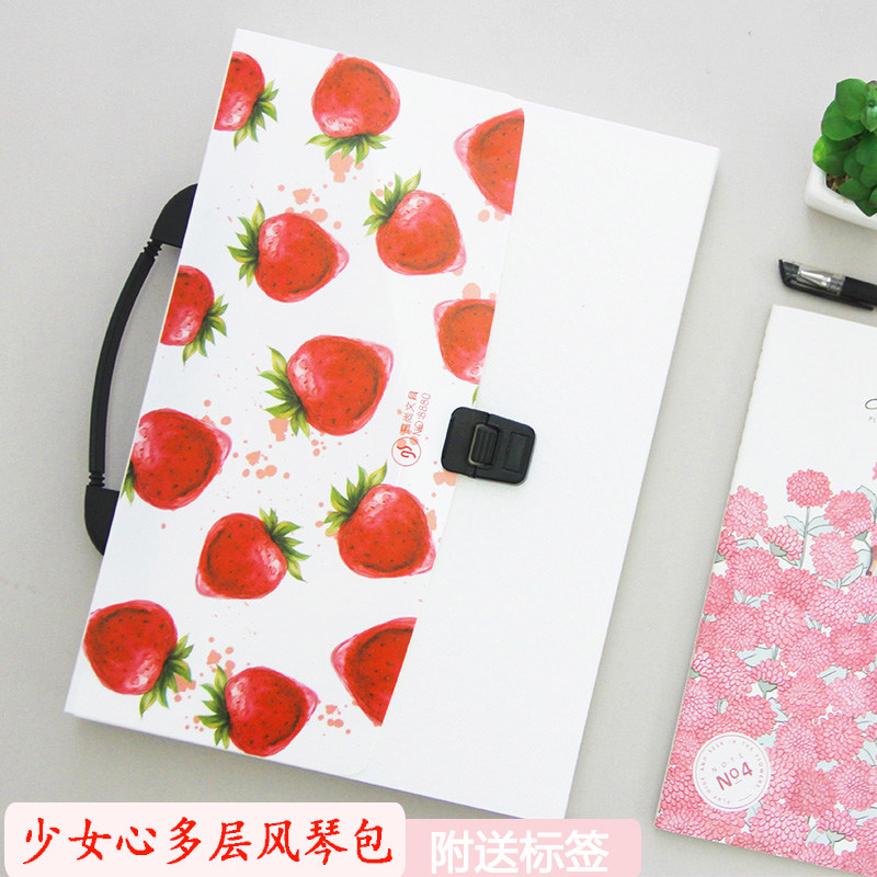 A4新款手提包學生裝試卷文件夾多層收納袋放資料清新可愛女風琴包在類目 電子詞典/電紙書/文化用品, 收納/陳列用品, 風琴包/事務包中 - 來自Buy2taobao.com提供專業的淘寶代購服務