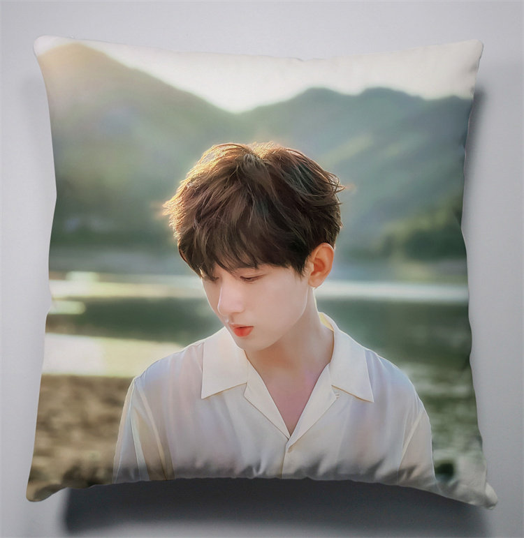 沉香如屑莲花楼成毅抱枕靠垫同款周边个性创意diy生日礼物品