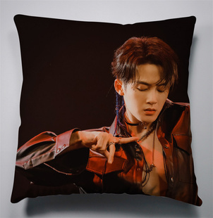 檀健次相柳57周边抱枕送人送朋友方形靠枕沙发坐垫居家靠垫