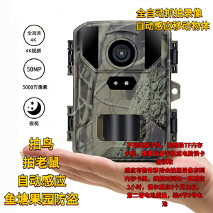 红外狩猎相机运动5000万像素4K移动感应拍照录像夜视监控果园防盗