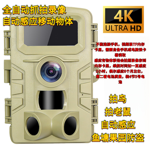 2英寸彩屏狩猎运动相机4K感应拍照录像记摄录防盗林业果园鱼塘
