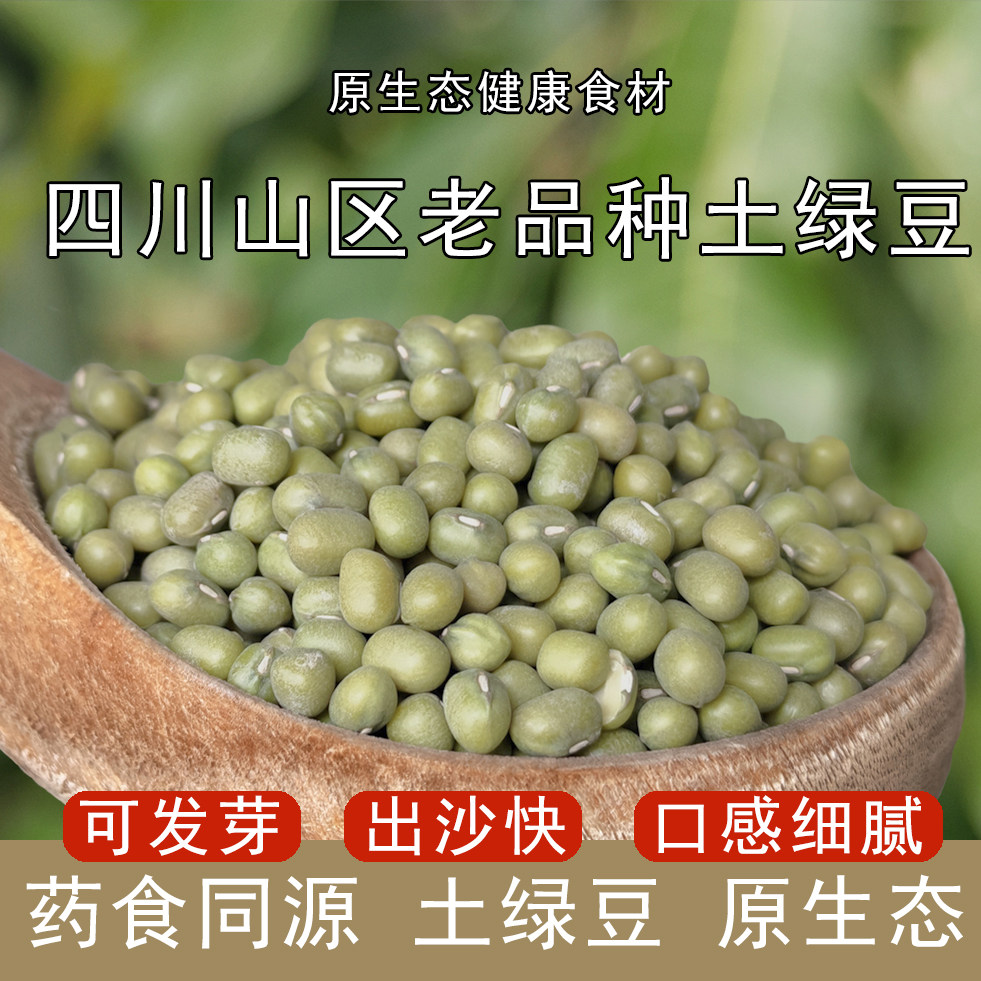 绿豆老品种2026新货四川农家自种豆类杂粮浓沙毛绿豆大颗粒发豆芽