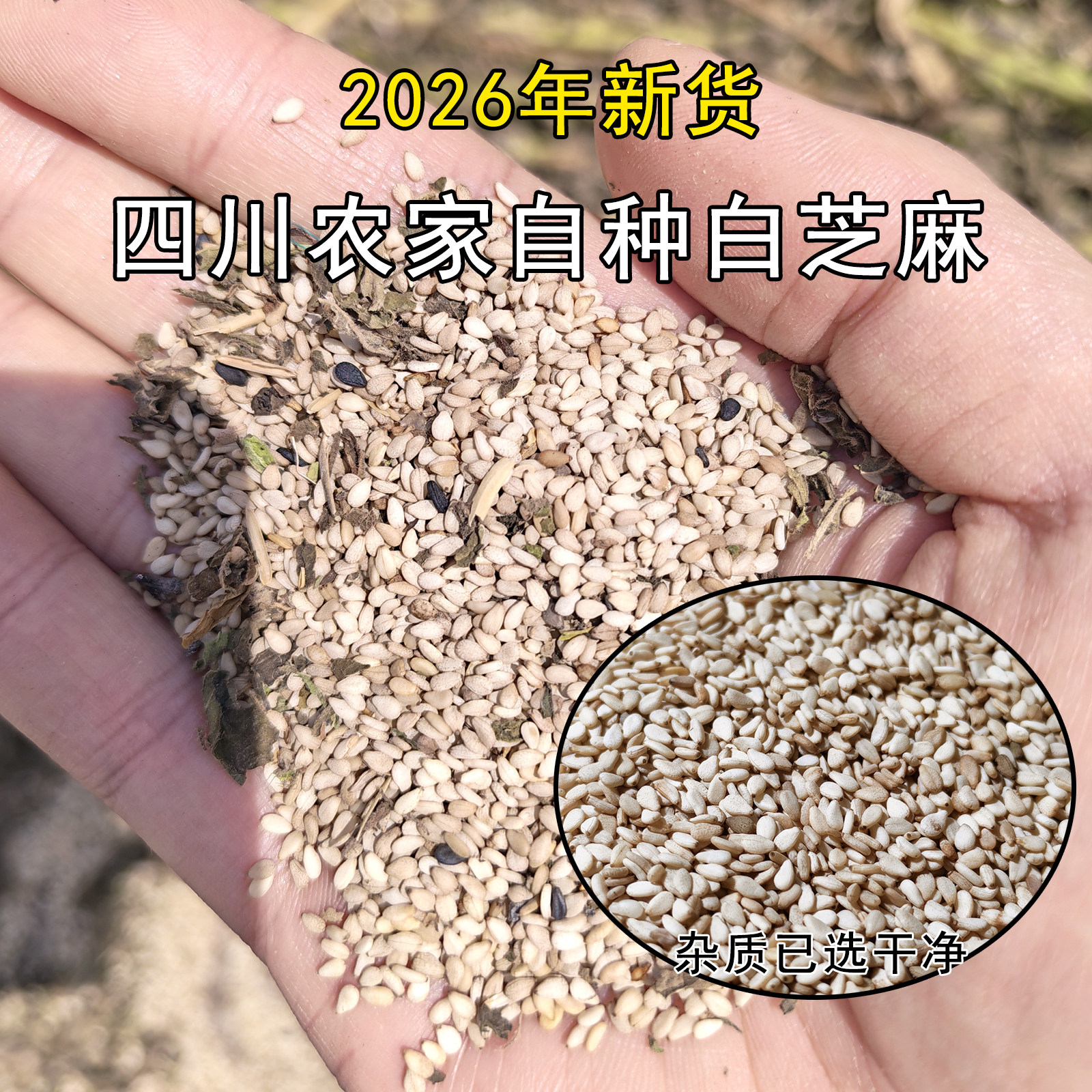 生白芝麻2026新货土芝麻农家自种粗粮四川山区老品种纯天然无添加