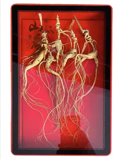 包邮林下参包装礼品盒 高档开窗透明山参盒 人参亚克力空盒子批发