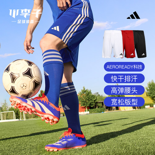 小李子运动短裤休闲跑步成人男