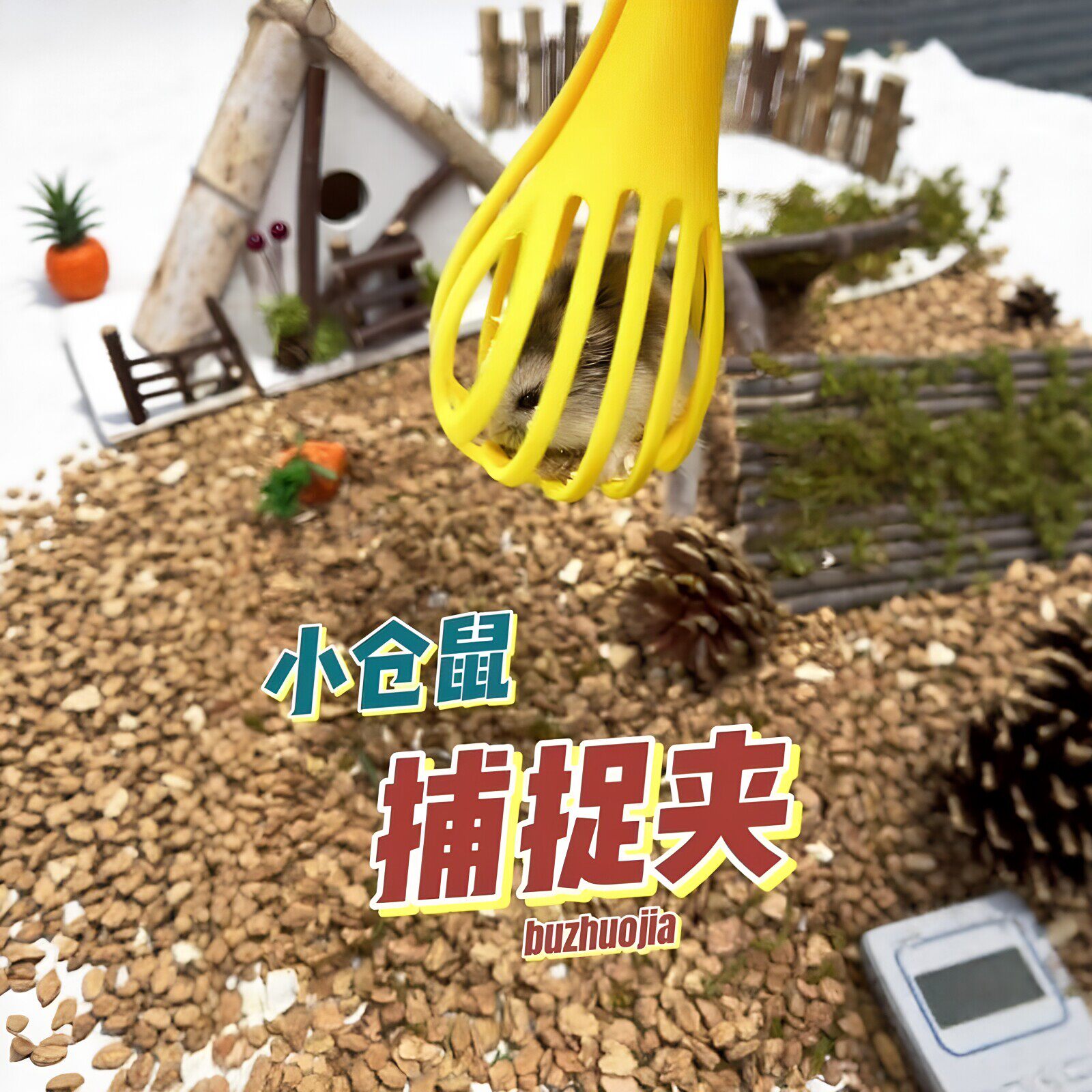 【补鼠神器】金丝熊仓鼠夹子防咬人喂食抓夹清洁神器新手互动玩具