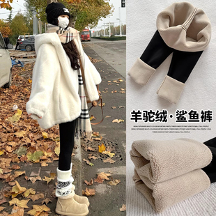 外穿打底黑色高腰收腹紧身保暖棉裤 特厚加绒鲨鱼裤 女小个子秋冬季