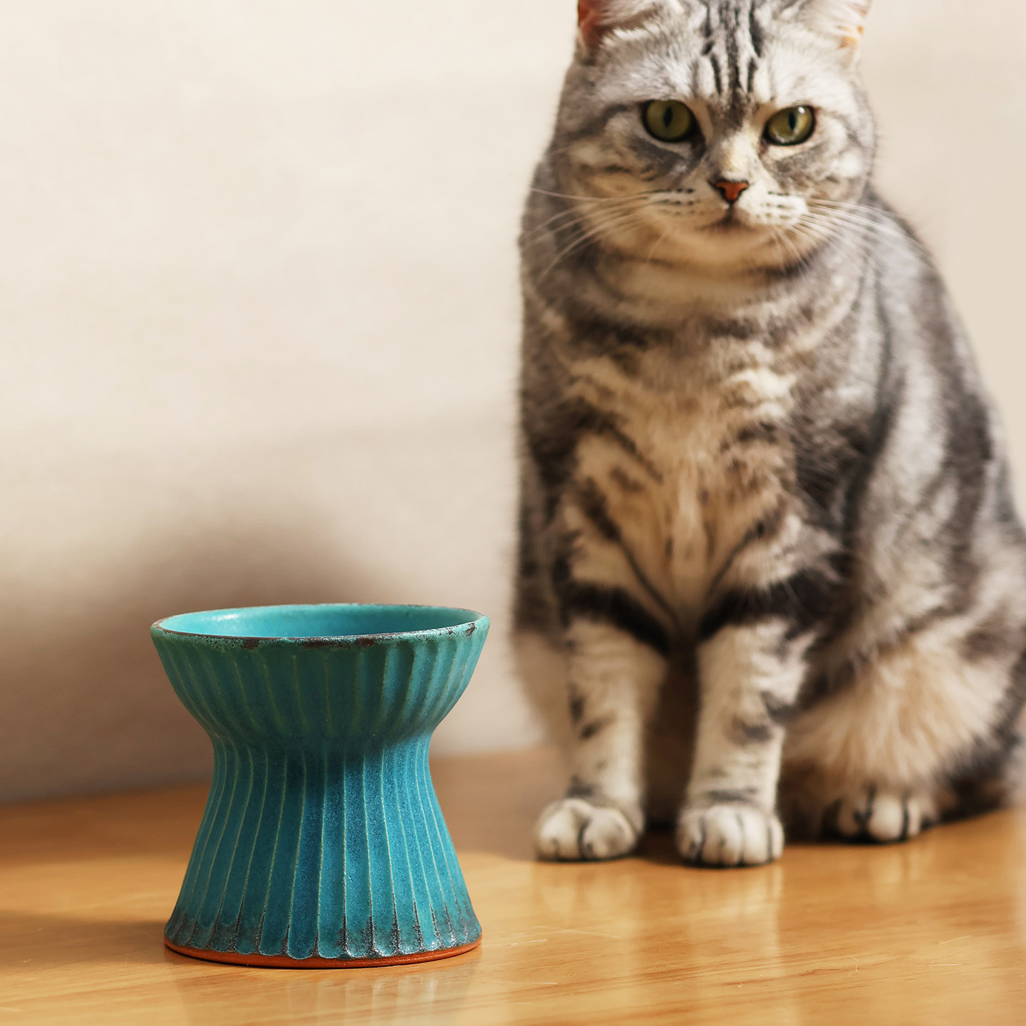 日本进口益子烧宠物碗复古粗陶高脚护颈椎防打翻猫咪碗
