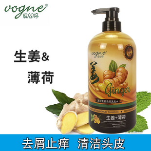 老姜王薄荷去屑止痒控油琴叶生姜防脱发强根保养洗发水加护发素