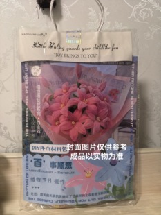 创意扭扭棒手工DIY花束材料包自制仿国风装饰摆件礼物永生花摆件
